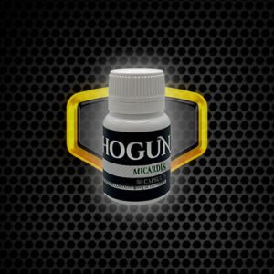 SHOGUN MICARDIS (Telmisartan) 40mg X 50 Units